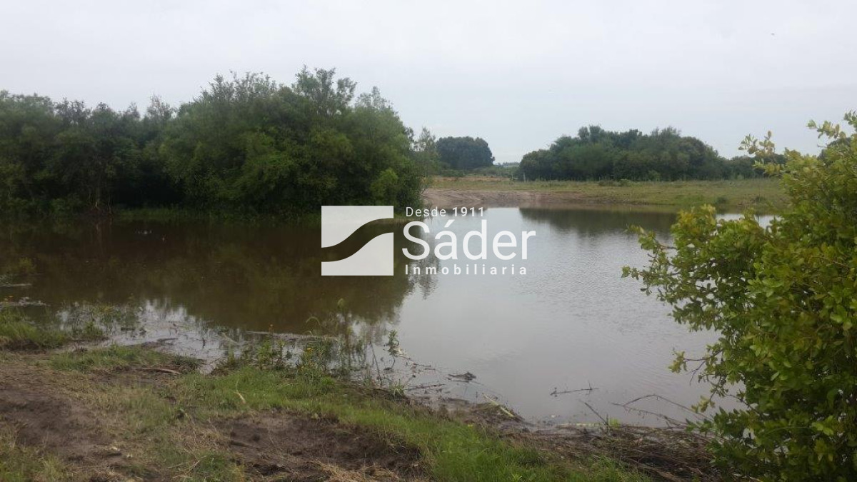 Chacra ID.196 - Chacra en venta Garzón 