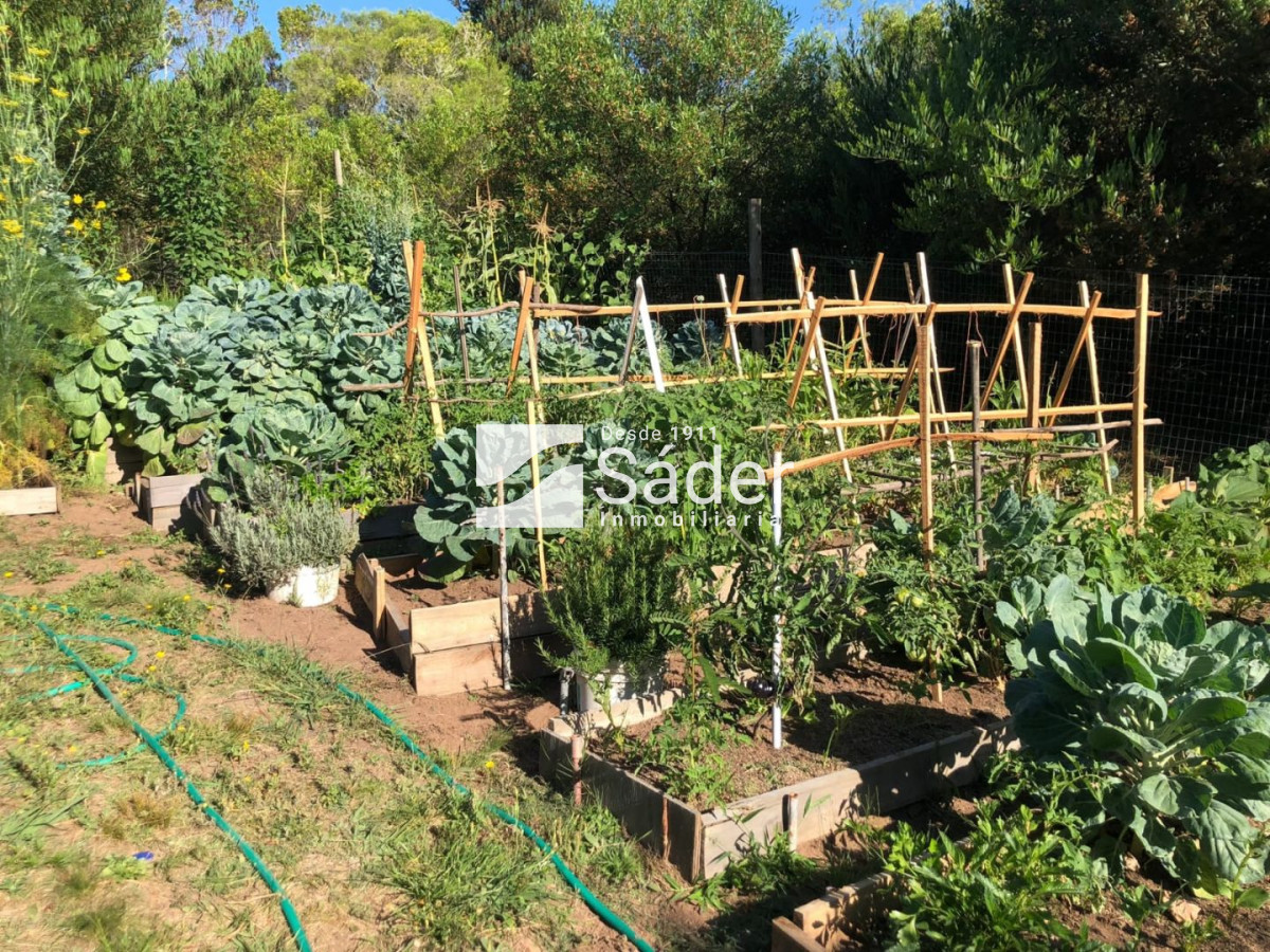 Chacra ID.3191 - Chacra en venta  2 dormitorios