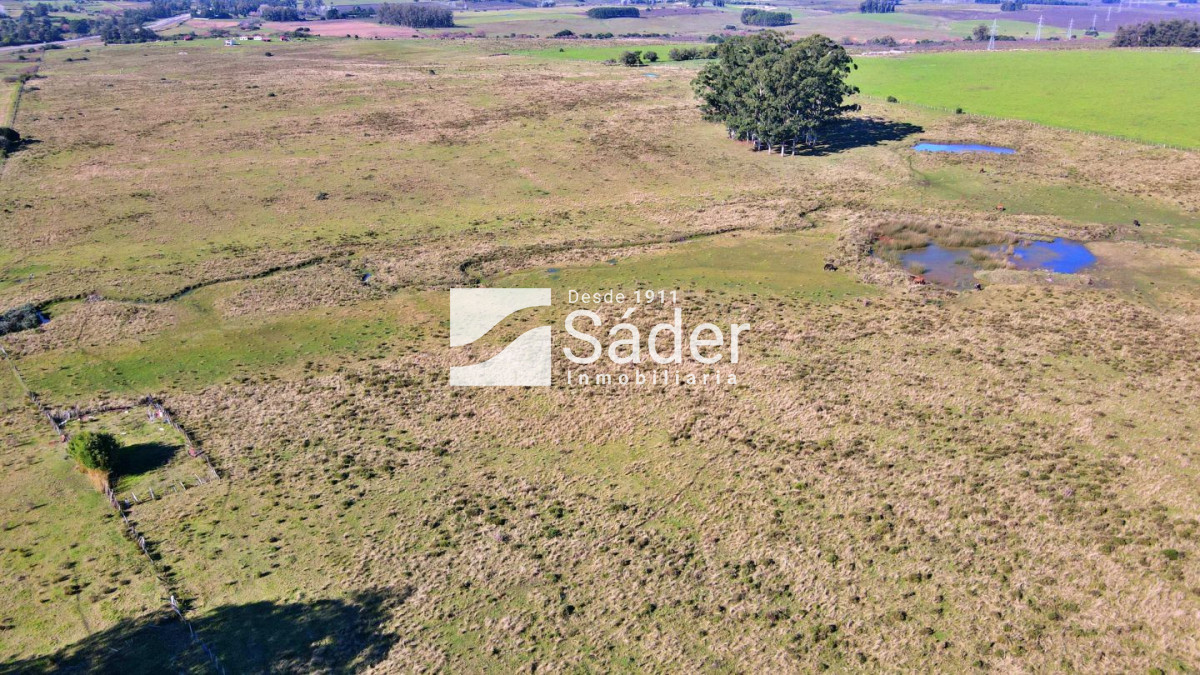 Ruta 9 - GoPunta - Portal Inmobiliario de Punta del Este - Maldonado