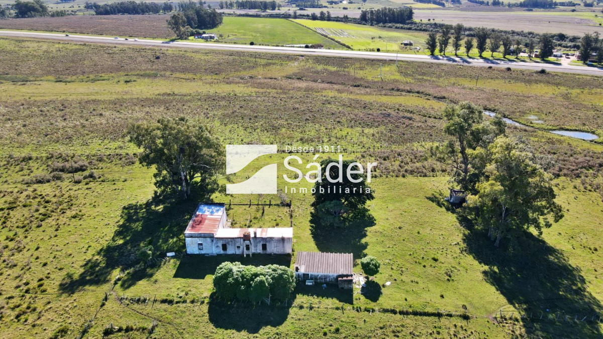 Ruta 9 - GoPunta - Portal Inmobiliario de Punta del Este - Maldonado