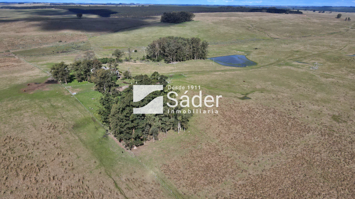 Campo Ref.4234 - Estancia en departamento de Treinta y tres