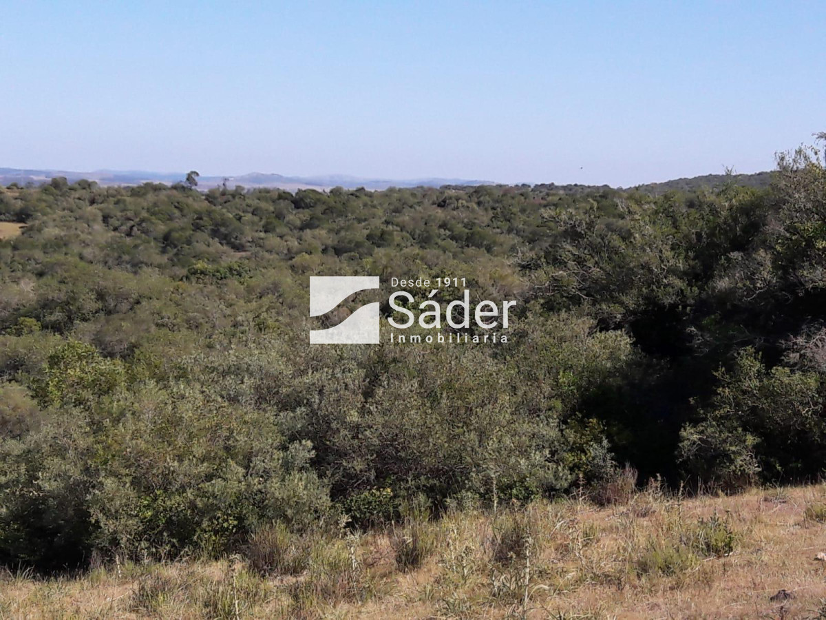 CAMPO EN VENTA CON FRENTE A RUTA 109 - GoPunta - Portal Inmobiliario de Punta del Este - Maldonado