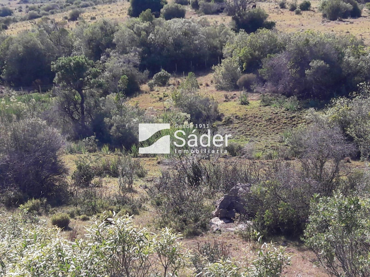 CAMPO EN VENTA CON FRENTE A RUTA 109 - GoPunta - Portal Inmobiliario de Punta del Este - Maldonado
