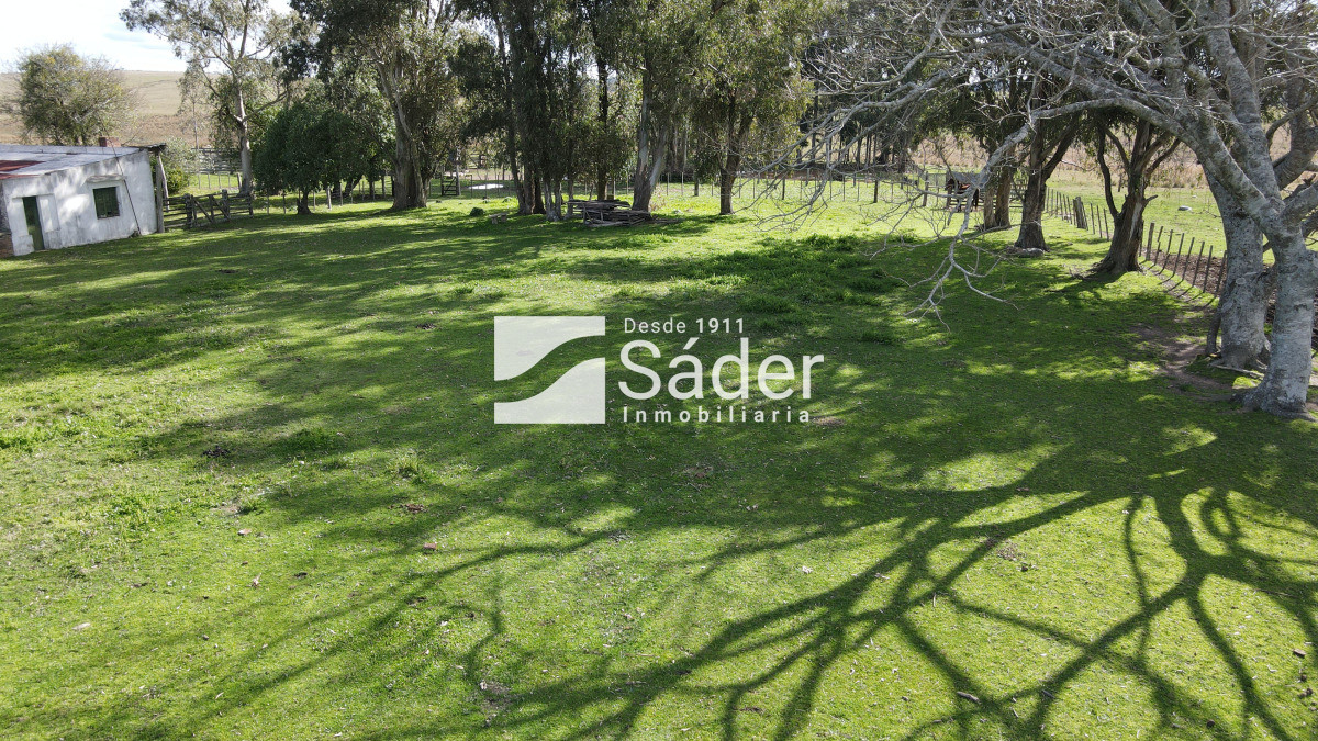 Campo Ref.4234 - Estancia en departamento de Treinta y tres