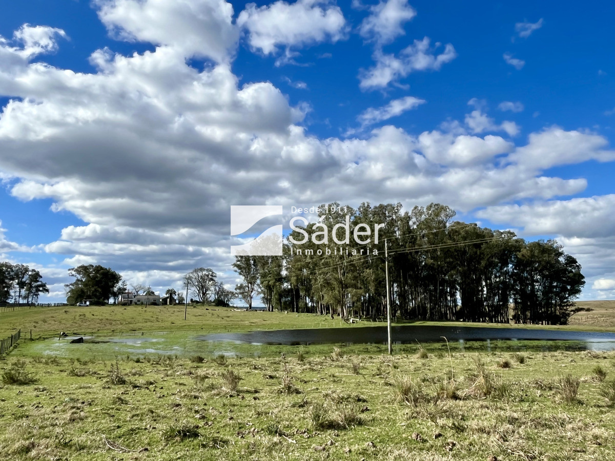 Campo Ref.4234 - Estancia en departamento de Treinta y tres