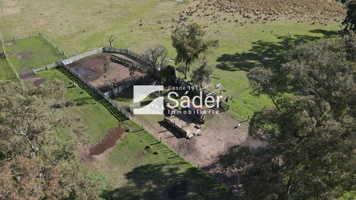 Campo Ref.4234 - Estancia en departamento de Treinta y tres