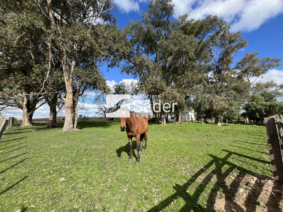 Campo Ref.4234 - Estancia en departamento de Treinta y tres