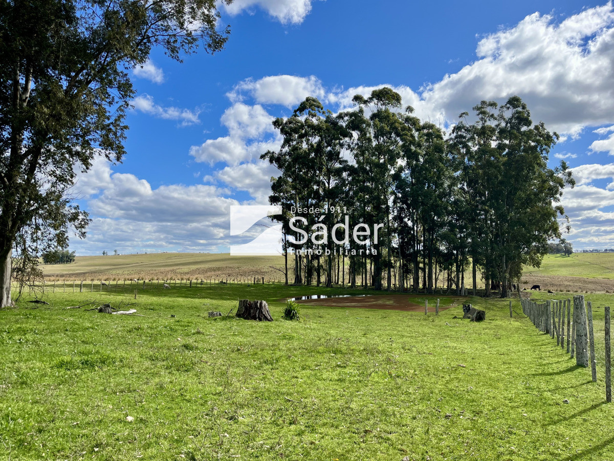 Campo Ref.4234 - Estancia en departamento de Treinta y tres
