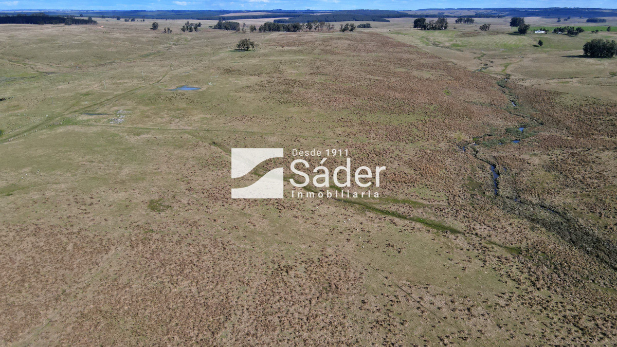 Campo Ref.4234 - Estancia en departamento de Treinta y tres