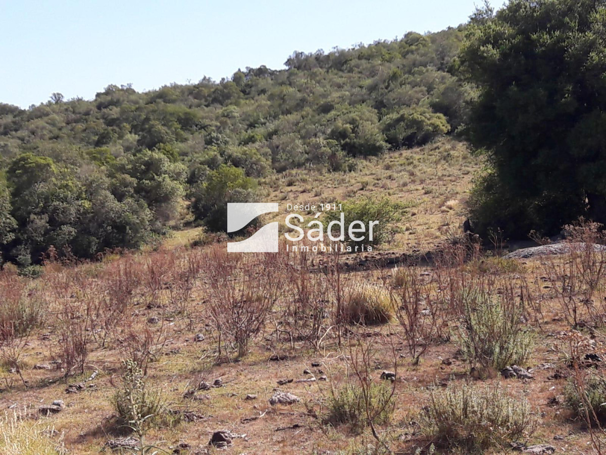 CAMPO EN VENTA CON FRENTE A RUTA 109 - GoPunta - Portal Inmobiliario de Punta del Este - Maldonado