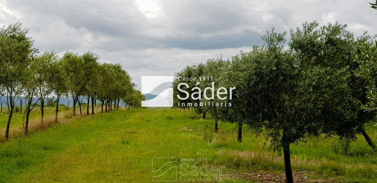 Campo Ref.3638 - Venta de Campo en Lavalleja, Uruguay