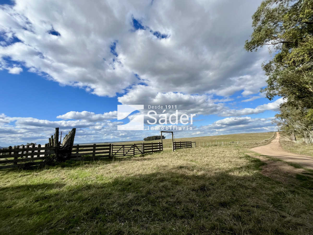 Campo Ref.4234 - Estancia en departamento de Treinta y tres