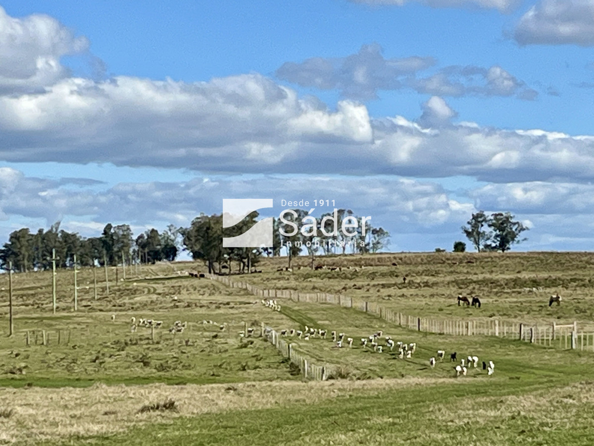 Campo Ref.4234 - Estancia en departamento de Treinta y tres