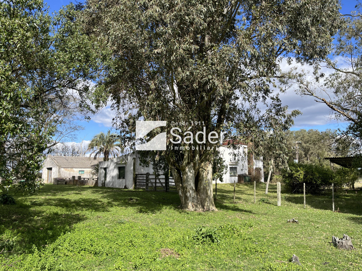 Campo Ref.4234 - Estancia en departamento de Treinta y tres