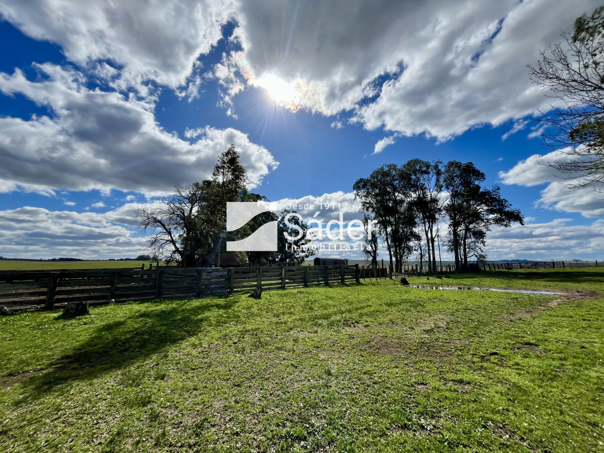 Campo Ref.4234 - Estancia en departamento de Treinta y tres