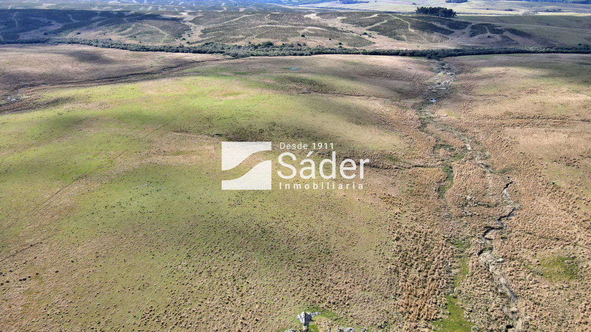 Campo Ref.4234 - Estancia en departamento de Treinta y tres