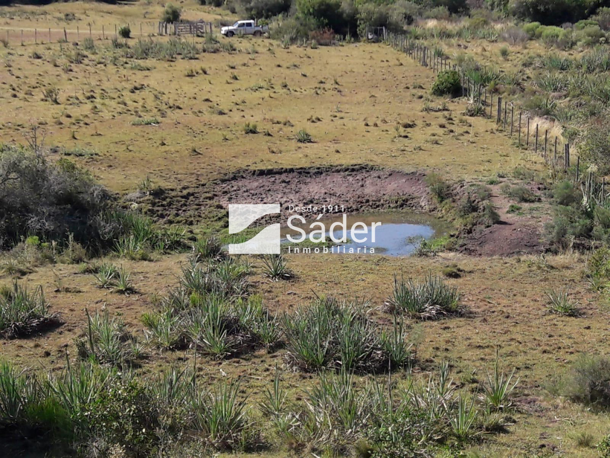 CAMPO EN VENTA CON FRENTE A RUTA 109 - GoPunta - Portal Inmobiliario de Punta del Este - Maldonado