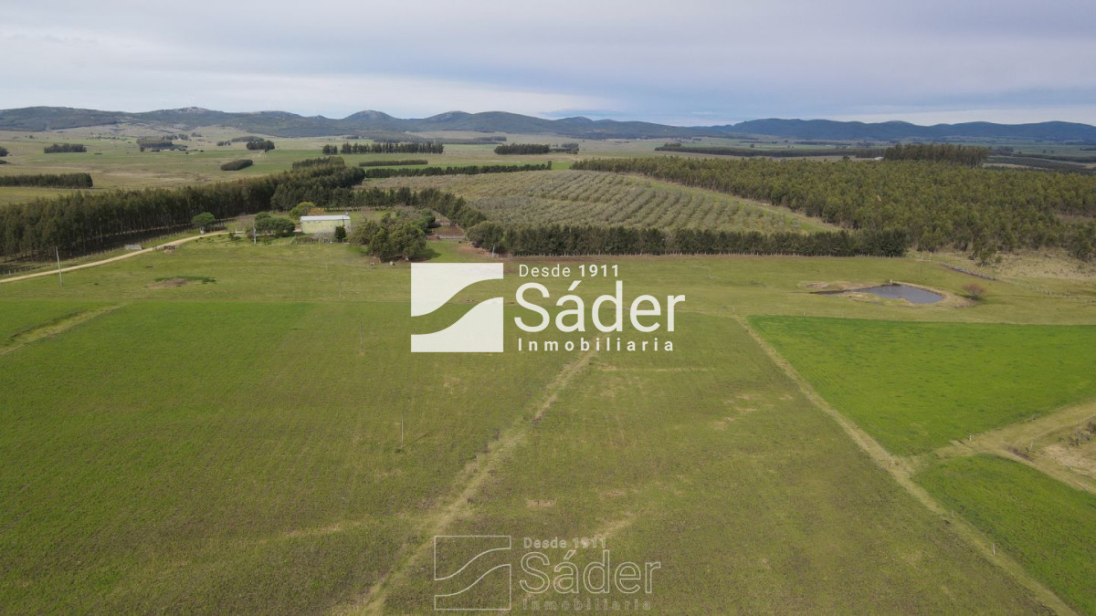 Venta de Campo en Lavalleja, Uruguay - GoPunta - Portal Inmobiliario de Punta del Este - Maldonado