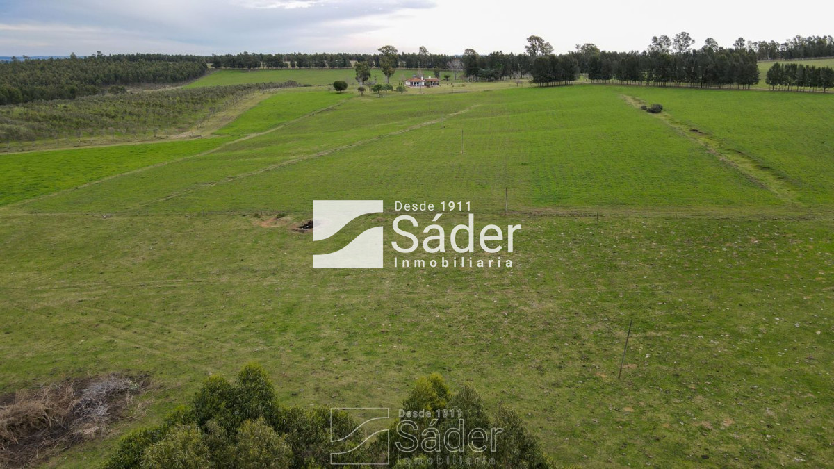 Campo Ref.3638 - Venta de Campo en Lavalleja, Uruguay