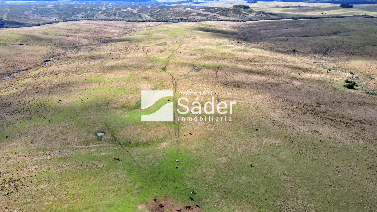 Campo Ref.4234 - Estancia en departamento de Treinta y tres