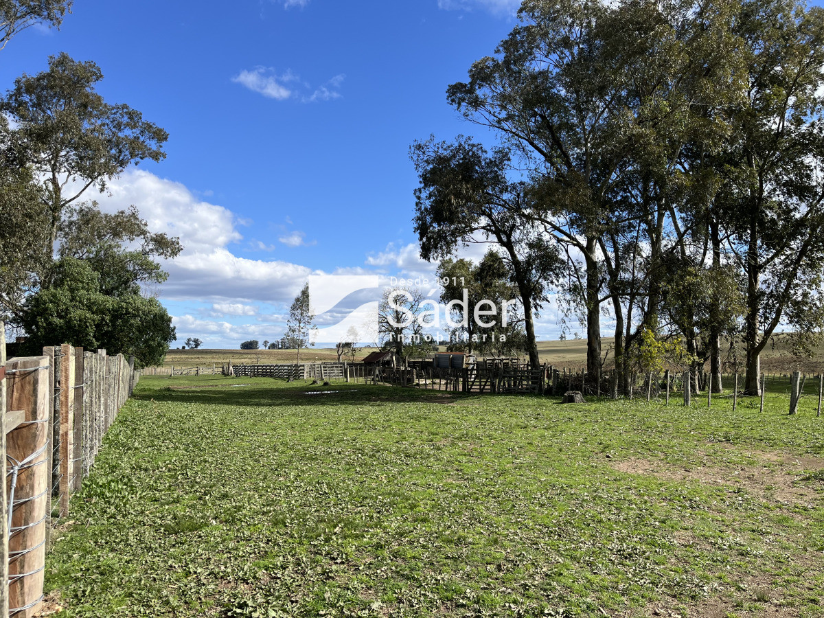 Campo Ref.4234 - Estancia en departamento de Treinta y tres