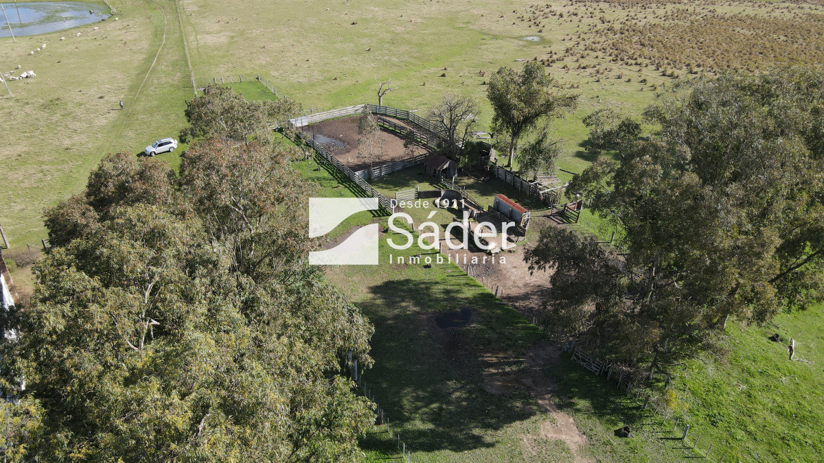 Campo Ref.4234 - Estancia en departamento de Treinta y tres