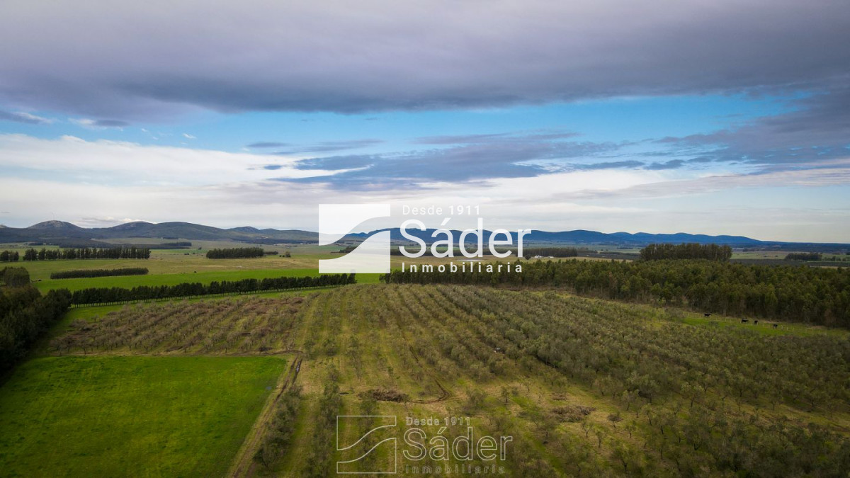 Campo Ref.3638 - Venta de Campo en Lavalleja, Uruguay