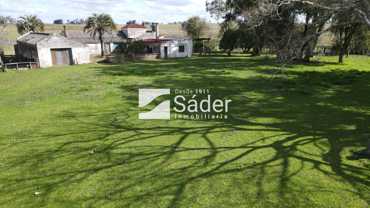 Estancia en departamento de Treinta y tres - GoPunta - Portal Inmobiliario de Punta del Este - Maldonado