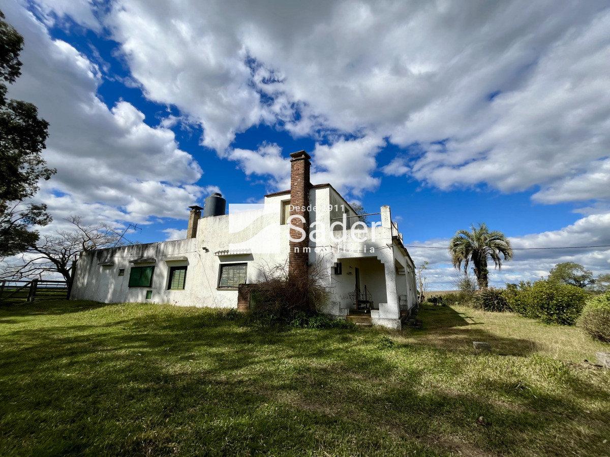 Campo Ref.4234 - Estancia en departamento de Treinta y tres