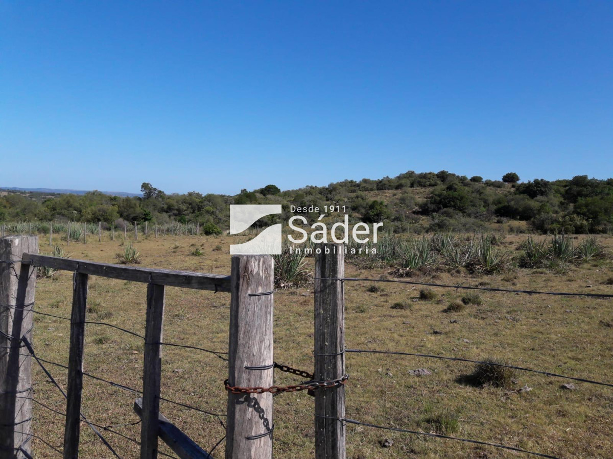 CAMPO EN VENTA CON FRENTE A RUTA 109 - GoPunta - Portal Inmobiliario de Punta del Este - Maldonado