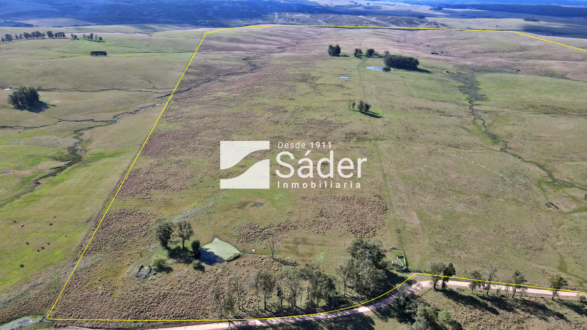 Campo Ref.4234 - Estancia en departamento de Treinta y tres