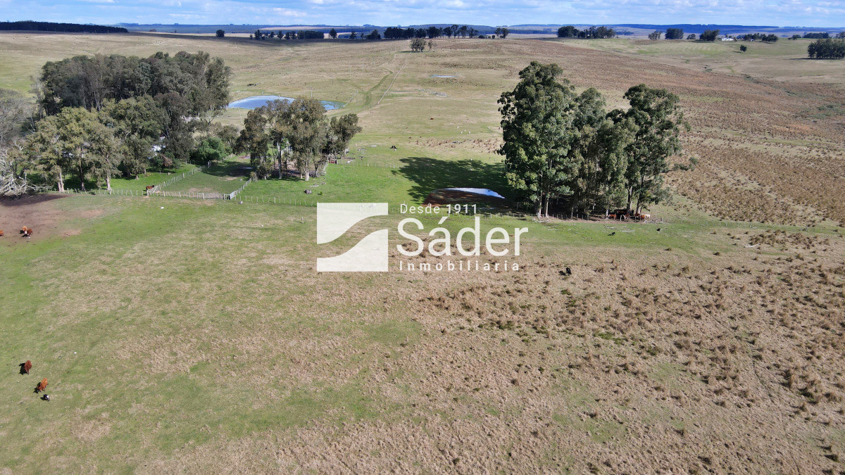 Campo Ref.4234 - Estancia en departamento de Treinta y tres