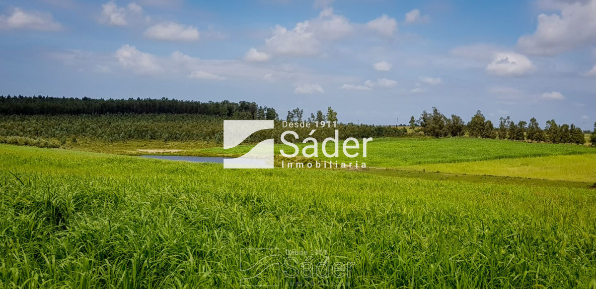 Campo Ref.3638 - Venta de Campo en Lavalleja, Uruguay