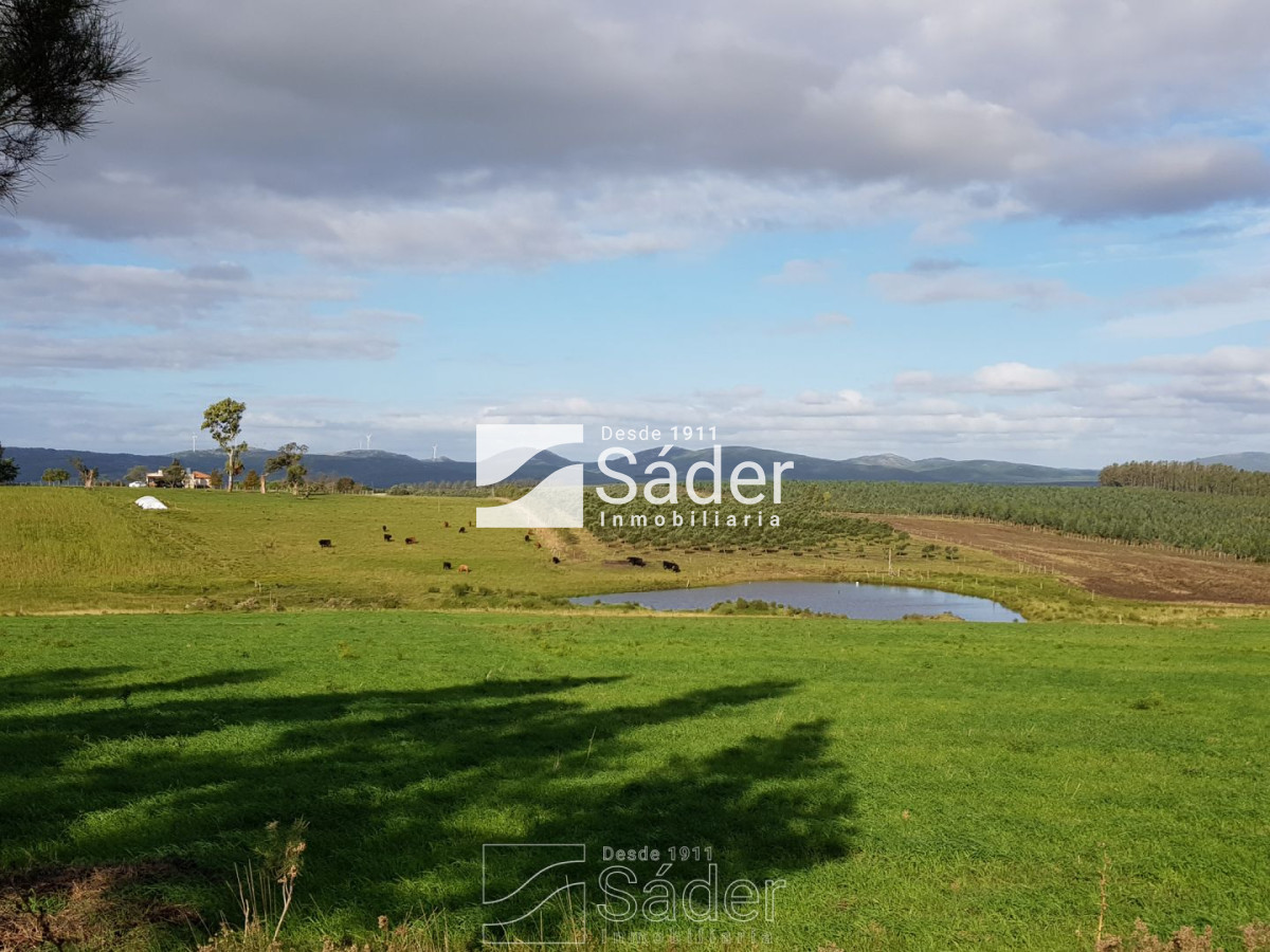 Campo Ref.3638 - Venta de Campo en Lavalleja, Uruguay