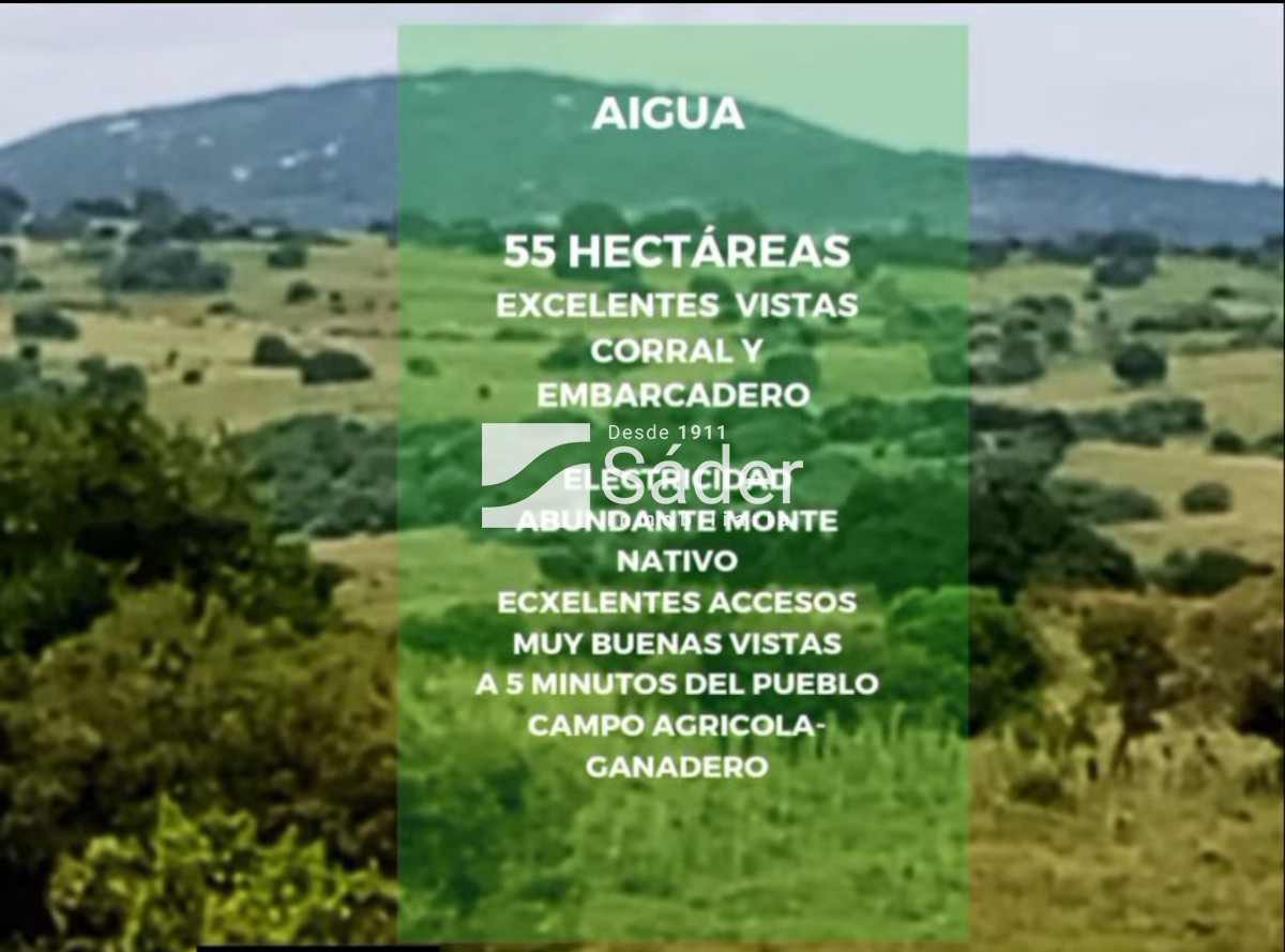 CAMPO EN VENTA CON FRENTE A RUTA 109 - GoPunta - Portal Inmobiliario de Punta del Este - Maldonado