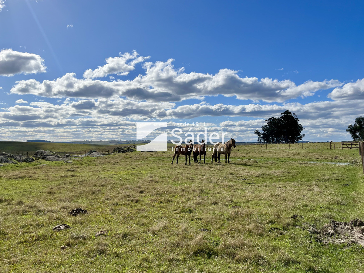 Campo Ref.4234 - Estancia en departamento de Treinta y tres