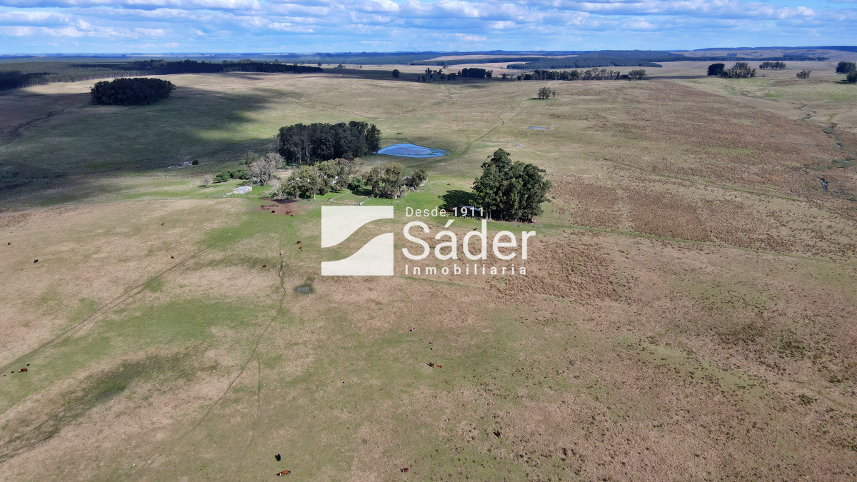 Campo Ref.4234 - Estancia en departamento de Treinta y tres