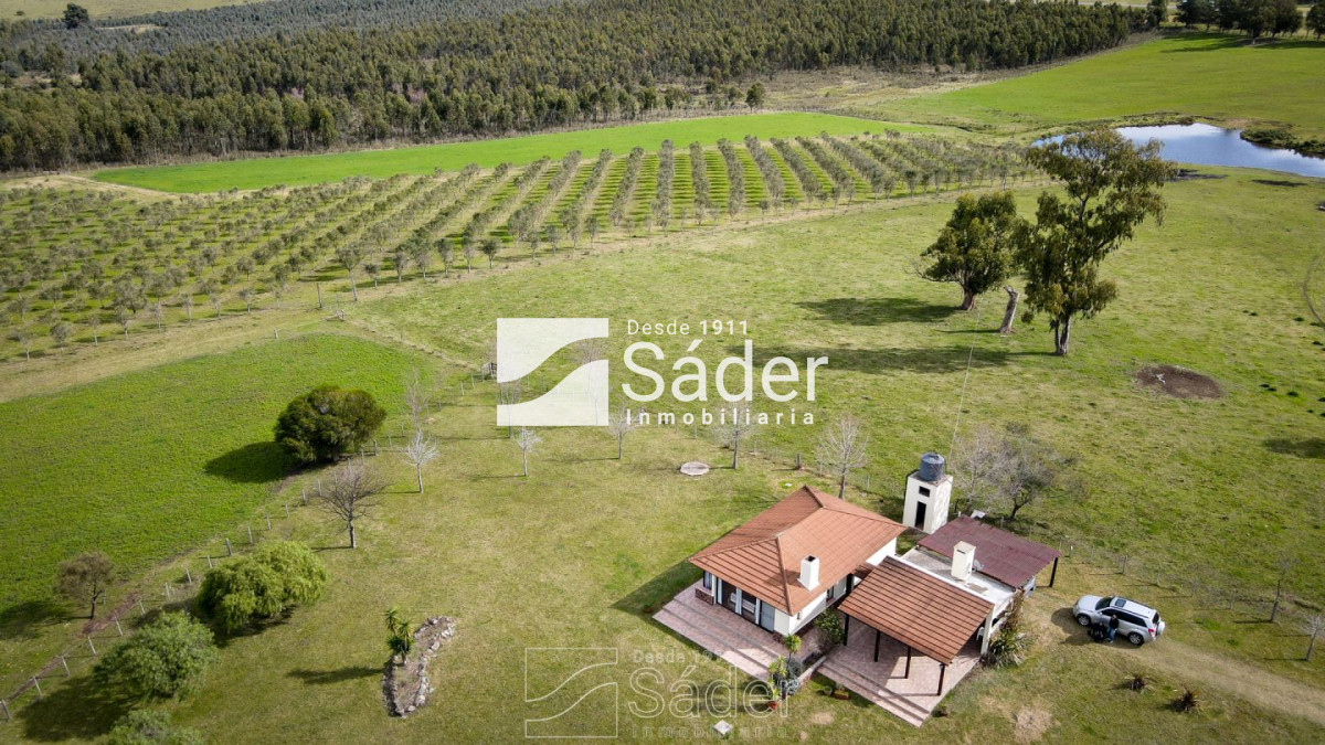 Venta de Campo en Lavalleja, Uruguay - GoPunta - Portal Inmobiliario de Punta del Este - Maldonado