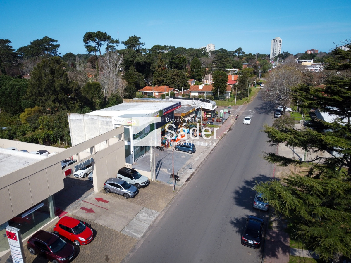 Local Comercial ID.3365 - Local con Renta en Maldonado 