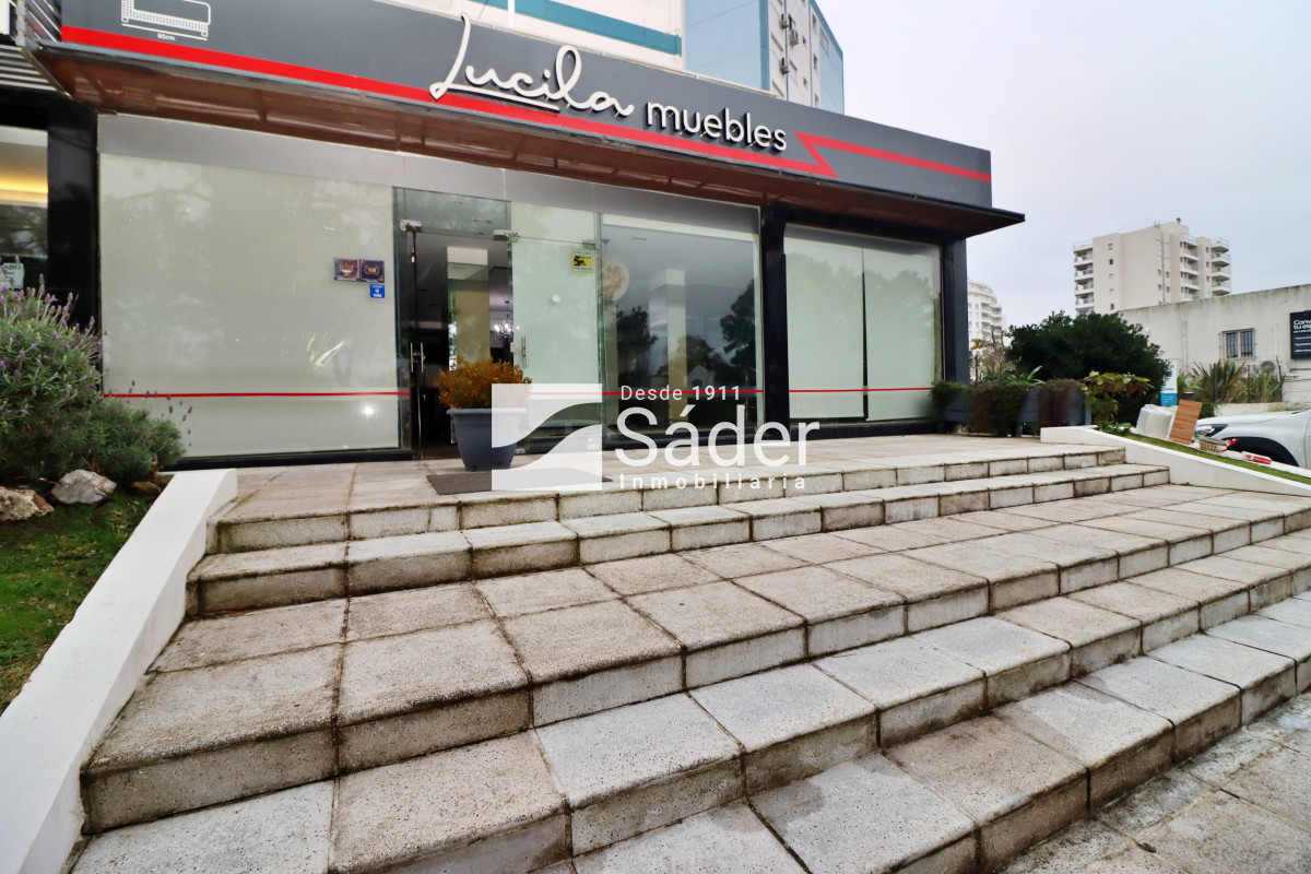Aidy Grill - GoPunta - Portal Inmobiliario de Punta del Este - Maldonado