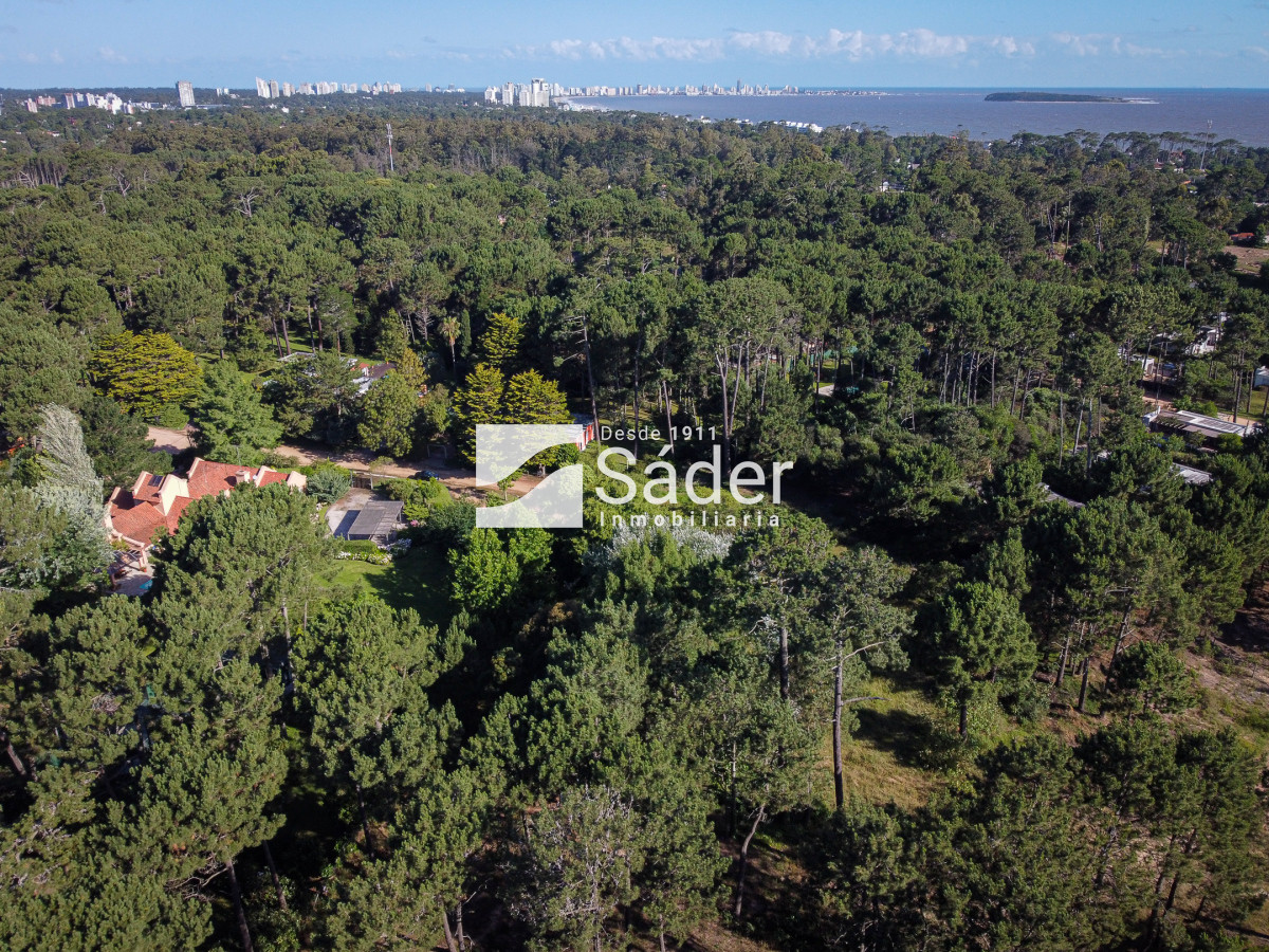Pinares - GoPunta - Portal Inmobiliario de Punta del Este - Maldonado