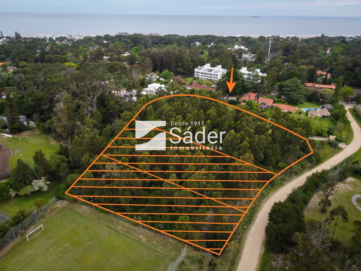Golf - GoPunta - Portal Inmobiliario de Punta del Este - Maldonado