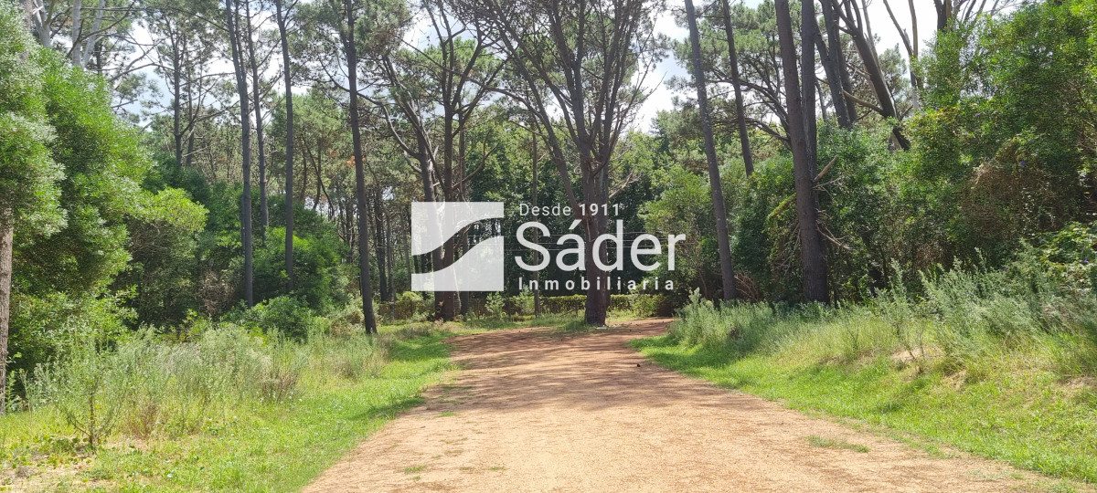 La Reserva - GoPunta - Portal Inmobiliario de Punta del Este - Maldonado