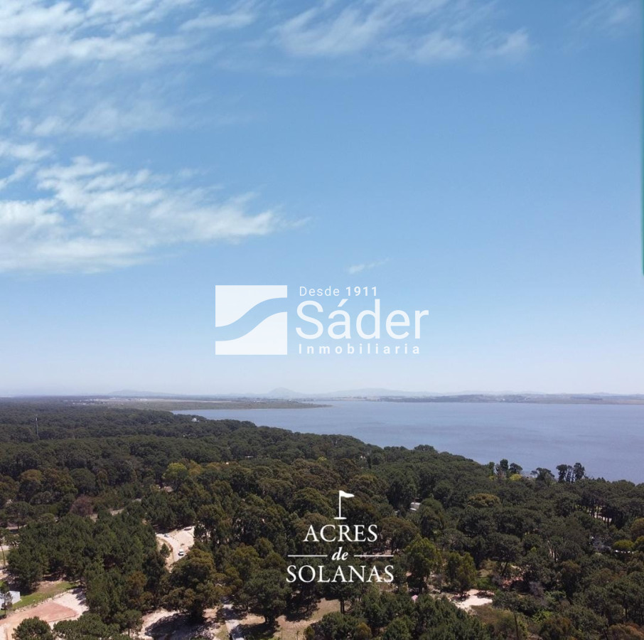 Laguna del Sauce - GoPunta - Portal Inmobiliario de Punta del Este - Maldonado