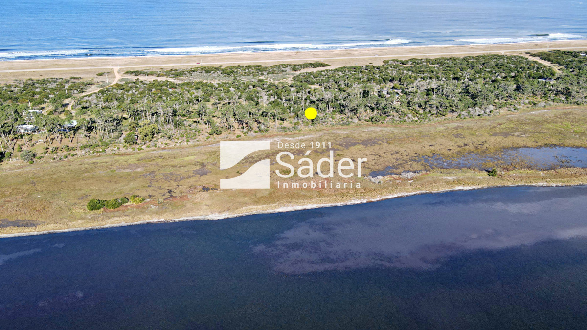 El Caracol - GoPunta - Portal Inmobiliario de Punta del Este - Maldonado