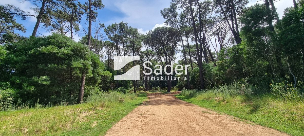 La Reserva - GoPunta - Portal Inmobiliario de Punta del Este - Maldonado