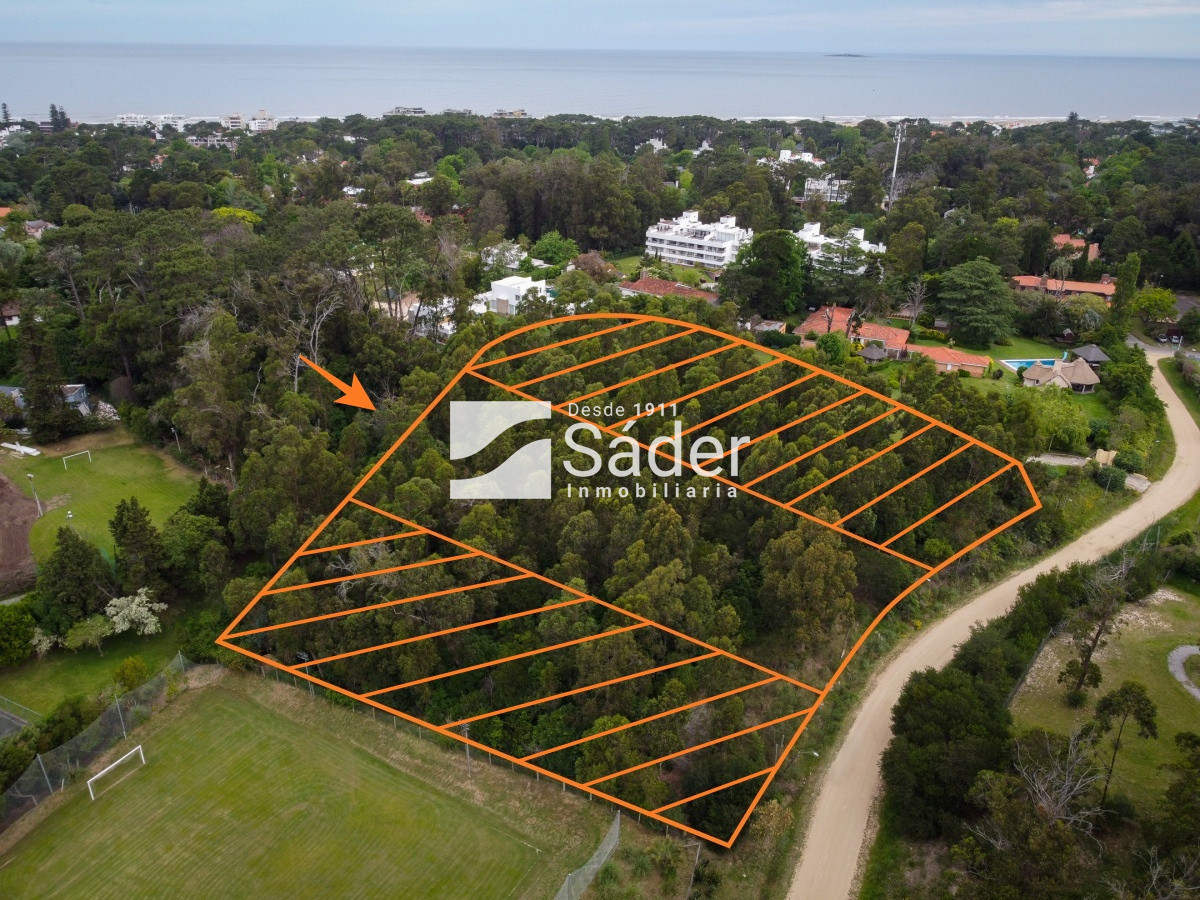 Golf - GoPunta - Portal Inmobiliario de Punta del Este - Maldonado