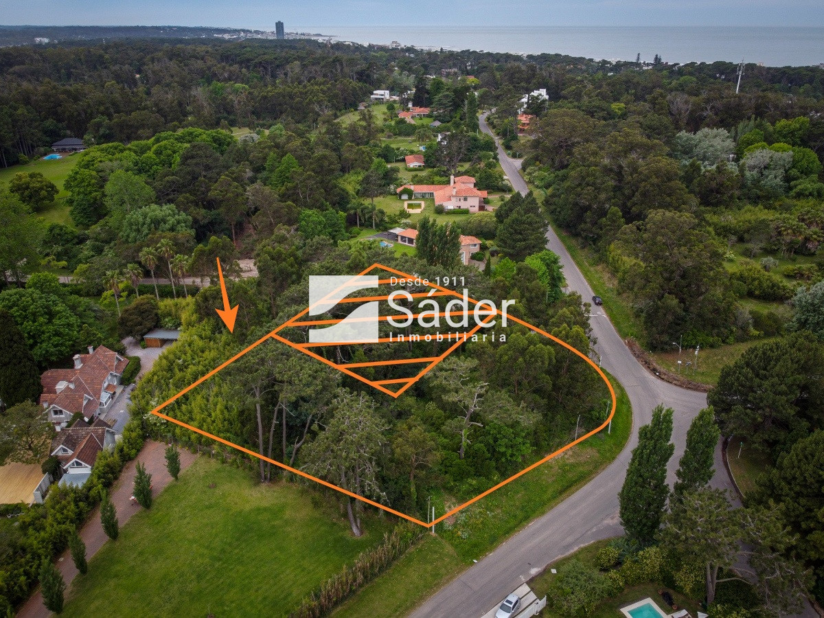 Golf - GoPunta - Portal Inmobiliario de Punta del Este - Maldonado