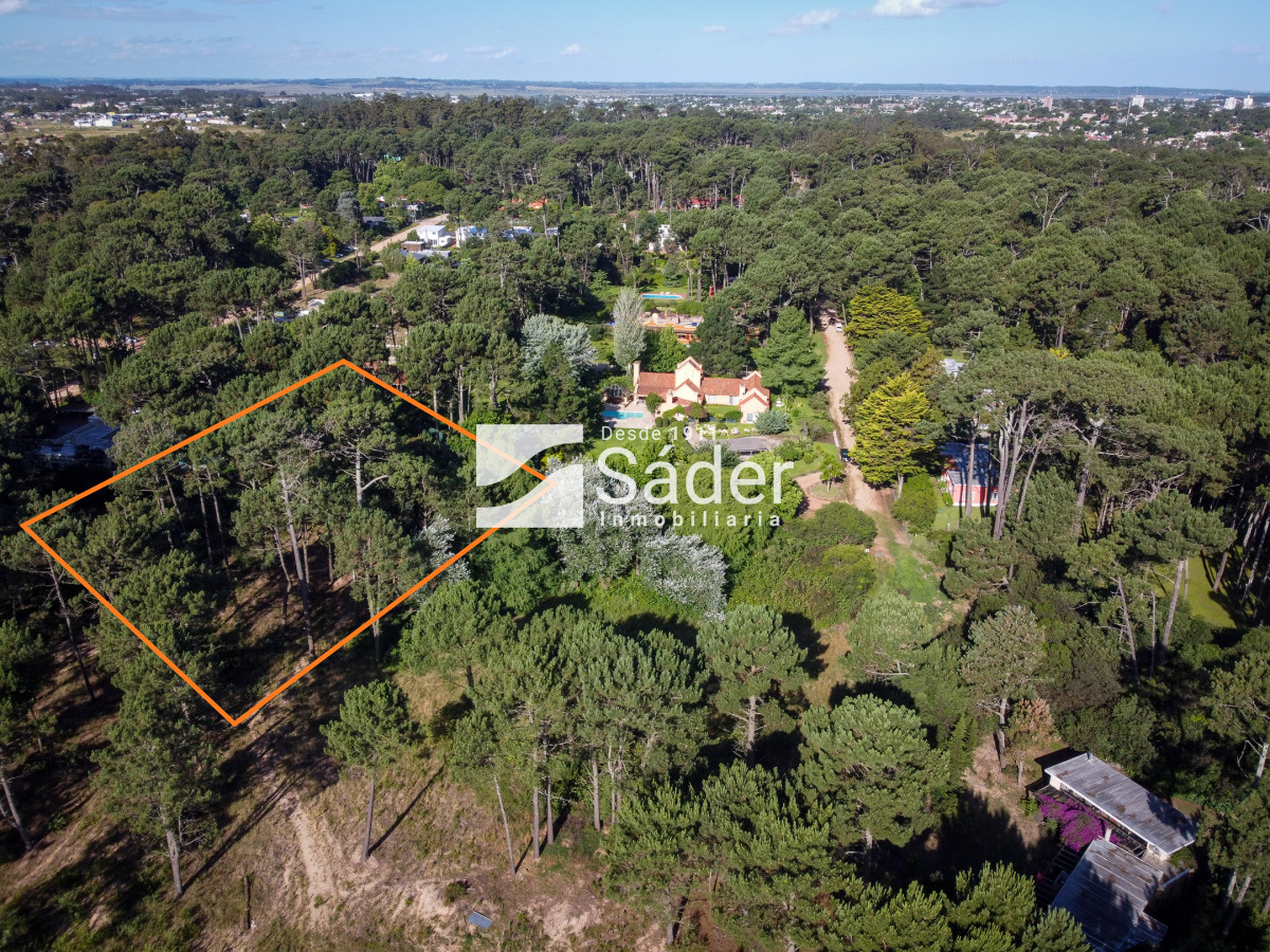 Pinares - GoPunta - Portal Inmobiliario de Punta del Este - Maldonado