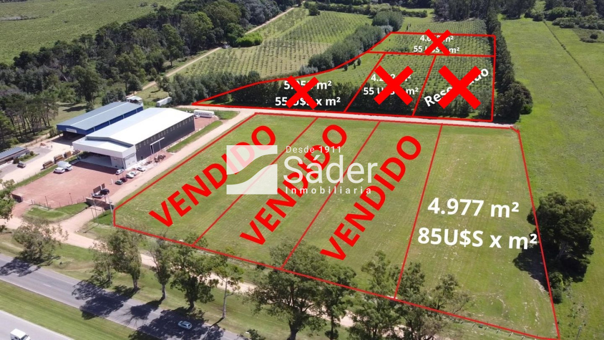 San Carlos - GoPunta - Portal Inmobiliario de Punta del Este - Maldonado
